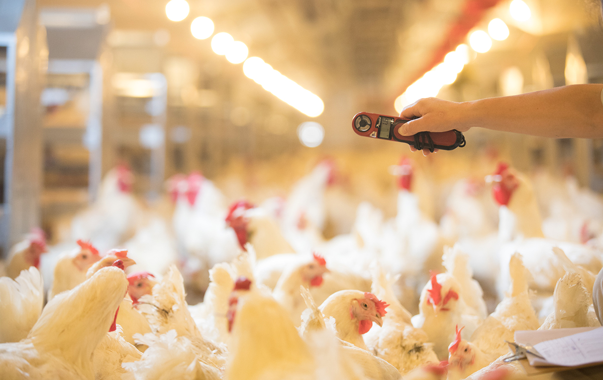 AGGAME·(中国区)集团官方网站